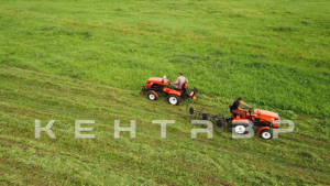 Минитрактор Кентавр Т-4 LITE 6+2 (Toyokawa) STD agri 5,00-12 / 9,50-16 + (фреза/плуг)